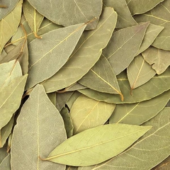 100g Lá Quế Khô thảo mộc xông phòng cao cấp thanh lọc không khí ẩm mốc an toàn cho người sử dụng