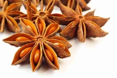 100g Hoa Hồi phơi khô thảo mộc xông phòng cao cấp thanh lọc không khí ẩm mốc an toàn cho người sử dụng