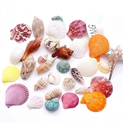 100g vỏ sò biển mix trang trí siêu đẹp