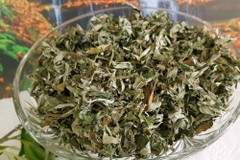 100g Ngải Cứu Phơi Khô thảo mộc xông phòng cao cấp thanh lọc không khí ẩm mốc an toàn cho người sử dụng