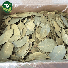 100g Lá Quế Khô thảo mộc xông phòng cao cấp thanh lọc không khí ẩm mốc an toàn cho người sử dụng