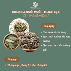 100g Combo trộn đuổi muỗi combo 4 thảo mộc xông phòng cao cấp thanh lọc không khí ẩm mốc an toàn cho người sử dụng