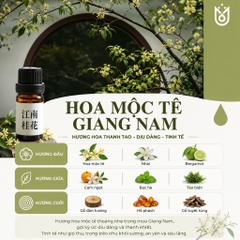 Hương Liệu Tinh Dầu Chuyên Dụng Làm Nến Thơm Cao Cấp