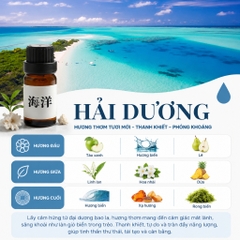 Hương Liệu Tinh Dầu Chuyên Dụng Làm Nến Thơm Cao Cấp