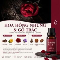 Hương Liệu Tinh Dầu Chuyên Dụng Làm Nến Thơm Cao Cấp