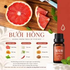 Hương Liệu Tinh Dầu Chuyên Dụng Làm Nến Thơm Cao Cấp