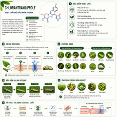 Glufosinate ammonium là gì? Đặc điểm, cơ chế và lưu ý khi sử dụng