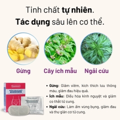 mieng-dan-giu-nhiet-8-tieng-giam-dau-bung-kinh-teemoon-7-mieng-chiet-xuat-gung-n