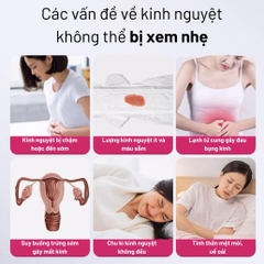mieng-dan-giu-nhiet-8-tieng-giam-dau-bung-kinh-teemoon-7-mieng-chiet-xuat-gung-n