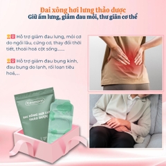 dai-xong-hoi-lung-thao-duoc-teemoon-3-mieng-giu-am-lung-va-bung-giam-dau-moi-thu