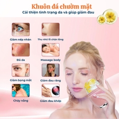 khuon-da-chuom-mat-teemoon-3-in-1-silicon-y-te-con-lan-thep-massage-dau-gai-sili