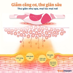 5-mieng-dan-giu-nhiet-xong-hoi-co-vai-gay-thao-moc-teemoon-chiet-xuat-ngai-cuu-g