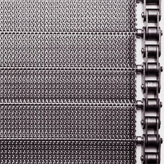 Băng tải lưới inox đan xoắn kép