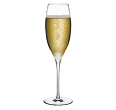 NUDE - Bộ ly champagne Dimple - 2 cái