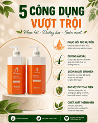 Cặp gội xả Hyamin suôn mượt kiềm dầu phục hồi tóc hư tổn 500ml