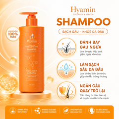 Cặp gội xả Hyamin sạch gàu giảm ngứa nấm da đầu dưỡng tóc suôn mượt 800ml