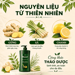 Dầu xả Royal thảo dược phục hồi tóc khô xơ nuôi dưỡng suôn mượt 800ml