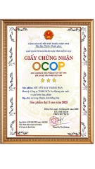 Mít ướt sấy thăng hoa organic 100% vị tự nhiên gói 30g AnKhang Foods - sản phẩm Ocop