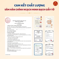 Hồng sâm lát mật ong Hàn Quốc (Honeyed Red Ginseng Slices) 20g*10gói/hộp