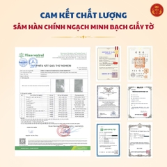 Set quà Hồng Sâm Tân Phúc