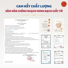 Set quà Sâm Yến Ngọc Khang