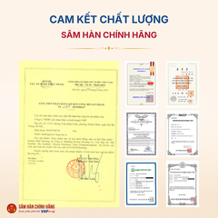 Hồng sâm củ khô 6 năm tuổi (Korean Red Ginseng 6Y 6-10 Root) 150g/hộp