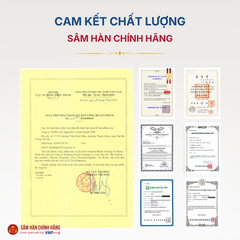 Nước hắc sâm Hàn Quốc (Ginssen Black Ginseng Jin Sunsu) 60ml*30gói/hộp