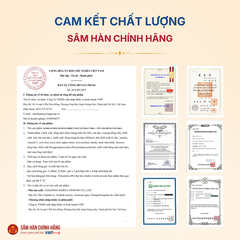 Nước Yến Sào Hồng Sâm DKG (Korean red ginseng Bird's nest Extract DKG) 70ml*30gói/hộp