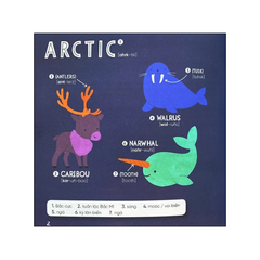 Steam words: Animals - Từ vựng về động vật