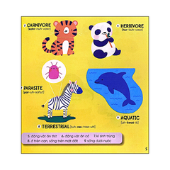 Steam words: Nature - Từ vựng về tự nhiên
