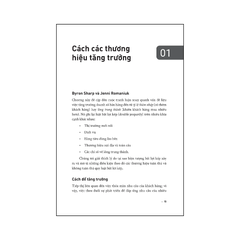 Ứng dụng: Con đường tăng trưởng thương hiệu (màu xanh)