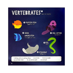 Steam words: Ocean - Từ vựng về đại dương