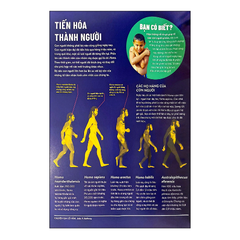 Bộ lược sử loài người: Britannica thế hệ mới - Kho tri thức về Nhân loại 