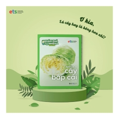 Bộ khám phá tự nhiên quanh em: Biết tuốt về cây Cải Bắp