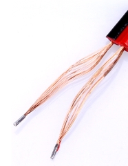 Jack Nối DC Cặp Đực - Cái 5.5mm x 2.1mm Dây Dài 20cm - Vĩ Gia Shop