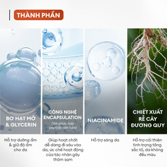 Combo mờ thâm sáng da tiêu chuẩn Brightening Trio