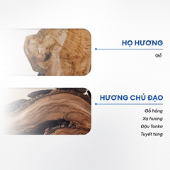 Sữa tắm gội 2 in 1 giúp tóc mềm mượt, chắc khỏe 250ml