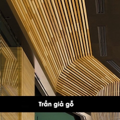 TRẦN GIẢ GỖ