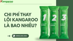 Chi Phí Thay Lõi Máy Lọc Nước Kangaroo Một Năm Bao Nhiêu? Cách Tính