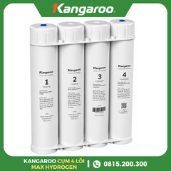 Bộ 4 Lõi Lọc Chức Năng Max Hydrogen Kangaroo