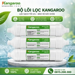 Bộ Lõi 123 Đúc Máy Lọc Nước Kangaroo