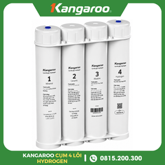 Bộ 4 Lõi Lọc Chức Năng Hydrogen Kangaroo