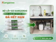 Bộ Lõi 123 Đúc Máy Lọc Nước Kangaroo