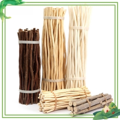 Cành Cây khô Tự Nhiên Trang Trí  Sáng Tạo  làm thủ công Handmade  mầm non - tiểu học