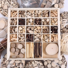 Cành trang trí thủ công làm handmade vật liệu tự nhiên Steam mầm non - học sinh
