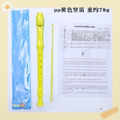 Sáo học nhạc học sinh,sáo dọc Recorder 8 lỗ DHS rẻ,đẹp kèm que vệ sinh,túi đựng ( hàng loại 1)