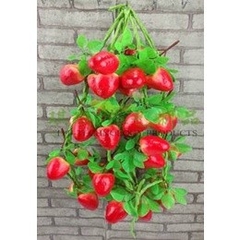 Dây củ quả, dây nông sản trang trí chợ quê , nhà hàng, khách sạn, lớp học mầm non