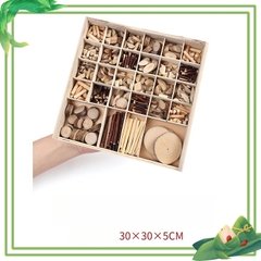 Cành trang trí thủ công làm handmade vật liệu tự nhiên Steam mầm non - học sinh