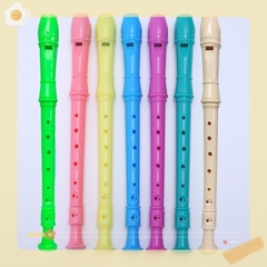Sáo học nhạc học sinh,sáo dọc Recorder 8 lỗ DHS rẻ,đẹp kèm que vệ sinh,túi đựng ( hàng loại 1)