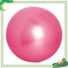 Bóng tập Yoga Gym Size 65cm cao cấp thể thao tập luyện